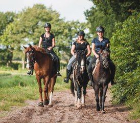5-Daagse Paardrij- en Trailcombinatie Met Je Eigen Paard Voor Groepen/Individuen, Wateren, Nederland - Photo 2