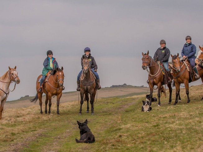 Horses Riding Devon 4 Day Exciting Dartmoor Trails Horse Riding Holiday in Devon, England ...