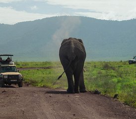 115 Tage Tansania-Safari in der Serengeti und den Ngorongoro-Hochländern und Krater - Photo 1