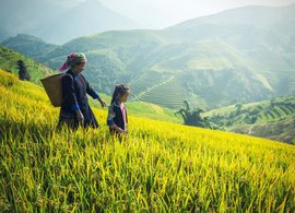 Sapa Retreats & Trips