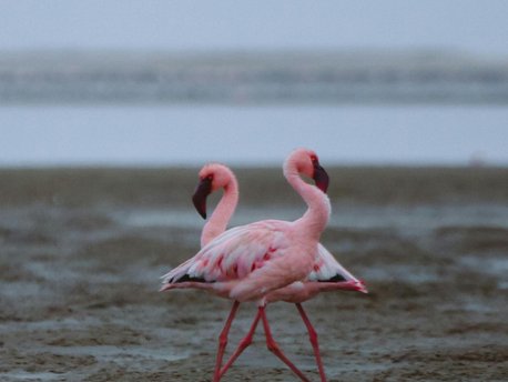 Walvis Bay