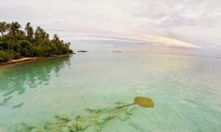 Meemu Atoll Retraites en Reizen