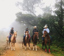 97 Day Hacienda and Cloud Forest Adventure Horse Riding Holiday in Puntarenas, Costa Rica - Photo 1