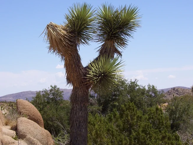 12 Day Dreamcatcher Self-Guided Motorcycle Tour in USA photo 6