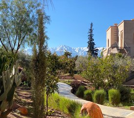 6-Daagse retreat voor vrouwen: de kracht van Ayurveda & Systemisch Werk in Marrakech, Marokko - Photo 2