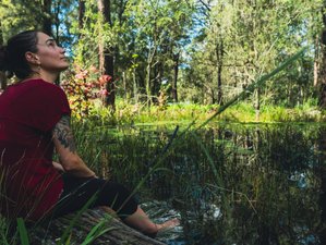 3-Daagse Stress Minder Yoga De Retreat in het Rustige Hawkesbury, Australië