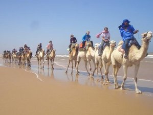 7-Day Yoga Retreat "The Breath of Yoga" in Sidi Kaouki, Essaouira, Morocco
