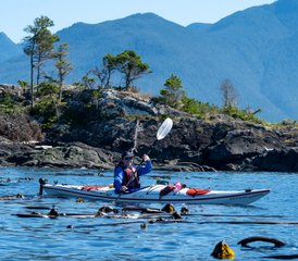 4 jours kayak & observation des baleines, Alder Bay, Canada - Photo 4
