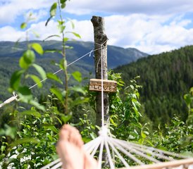 Vacaciones de yoga de 7 días para desconectar, relajarse e sumergirse en la naturaleza en Flatdal, Noruega - Photo 2