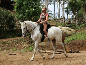 10 Day Natural Horsemanship and the Fine Art of Riding Holiday in Tucurrique, Cartago