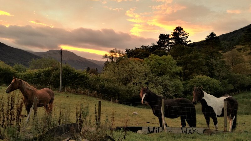 3 Day Weekend Getaways Trail Blazing Through Scotland's Hidden Coast Horse Riding Holiday in Kintyre