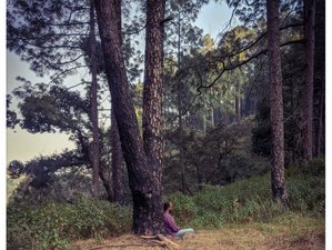 6 Day Himalayan Meditation Retreat with Kriya Yoga and Pranayama in Nainital, Uttarakhand