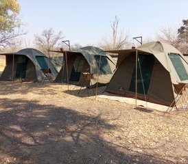 5 Jour Safari au Coucher du Soleil dans la Réserve de Gibier de Moremi Est et Le Parc National de Chobe au Botswana - Photo 5