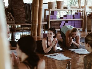 28 Day 200 Hours Yoga Teacher Training in Lefkada