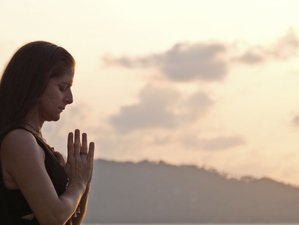 4 Day Total Self-Care and Yoga Retreat in Koh Samui, Surat Thani