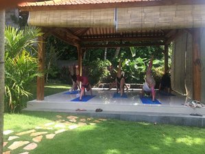 15 Day Couples Surf Camp and Yoga Holiday in Bali