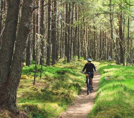 4 Tage Yoga Retreat im Dell of Abernethy im Cairngorms-Nationalpark, Schottland, Vereinigtes Königreich - Photo 2