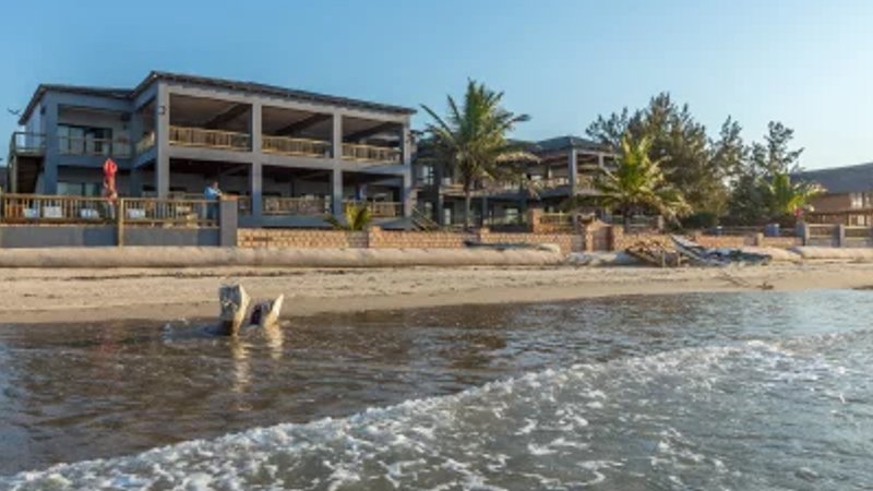 6 Day Surf Holiday with Beginner and Intermediate Lessons on Barra beach, Mozambique