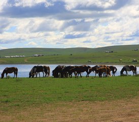 8 Day The Eight Lakes Horse Trek in Central Mongolia - Photo 4