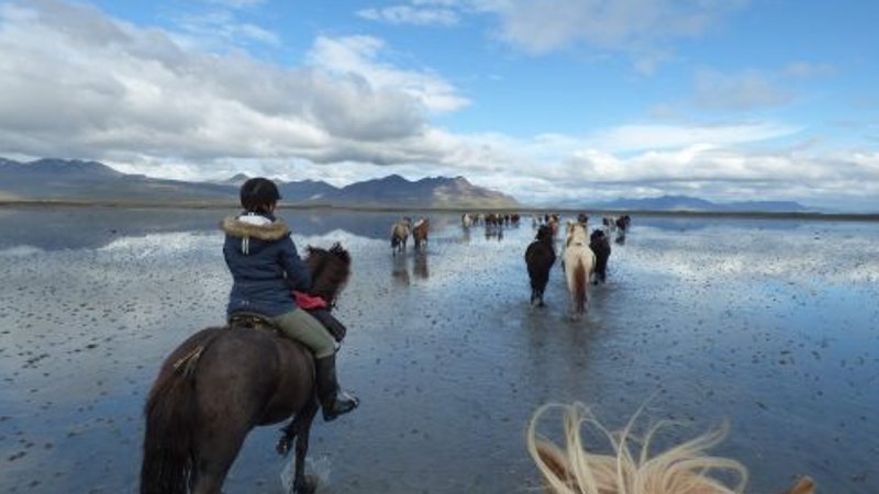2 Day From Geysers to Mountain Horse Riding Tour, Iceland