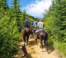 23 Day Historic Li-lik-hel Gold Mine Horseback Riding Expedition in British Columbia, Canada - Photo 1