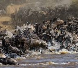 8 jours safari camping combiné Kenya et Tanzanie, Kenya et Tanzanie - Photo 5