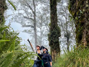 4 Day Rainforest Yoga Retreat in Bali, Indonesia