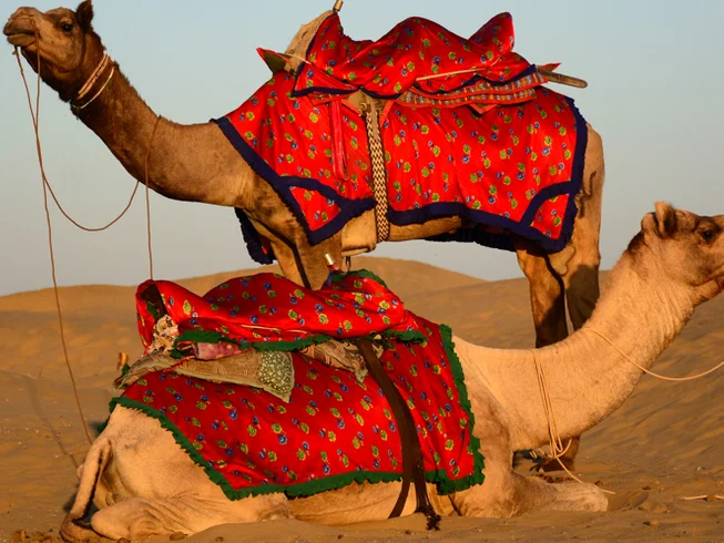 8 Day Touch of Rajasthan Guided Motorcycle Tour in India photo 10