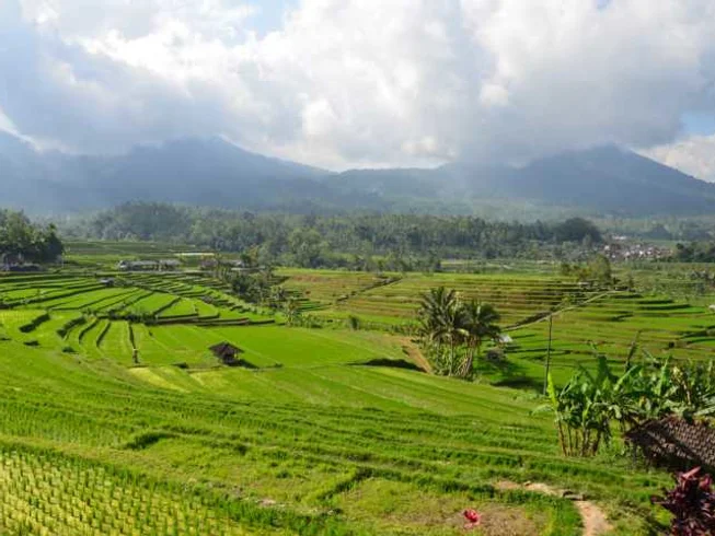 6 Day Golden Enduro Guided Motorcycle Tour in Bali, Indonesia photo 9