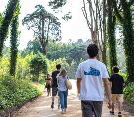 6 Day Surf Break - Embrace the True Surfer Philosophy in Sintra-Cascais Natural Park, Portugal - Photo 2