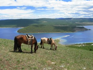 2 Day Luxury Riding Tour and Visit to Genghis Khan Statue in Gorkhi-Terelj National Park, Ulaanbatar