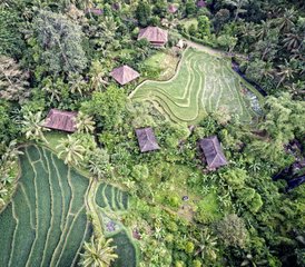 8 Day Ashtanga Yoga and Personal Development Retreat in Bali, Indonesia - Photo 2