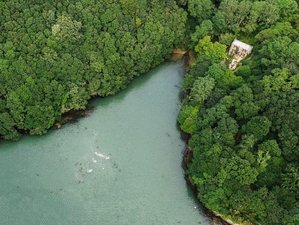 4 Tage Cornish Woodland: Wildes Schwimmen, Futtersuche und Yoga Urlaub in Cornwall