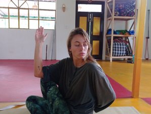 7 Day Relaxing Yoga and Meditation in Dharamshala, India