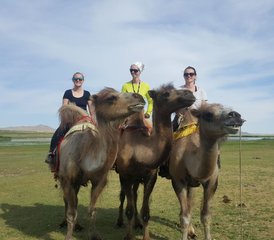 13 jours de trek équestre Mini Gobi et steppes en Mongolie - Photo 5