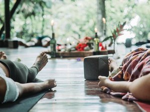 Envolver Nueve Residente 9 profesorados de yoga en Provincia de Limón | BookYogaTeacherTraining