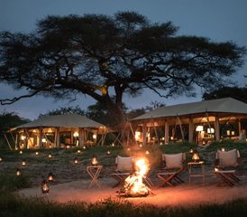 8 Tage private luxuriöse Big-Five-Safari in Tansania in Tarangire, Ngorongoro und Serengeti - Photo 5