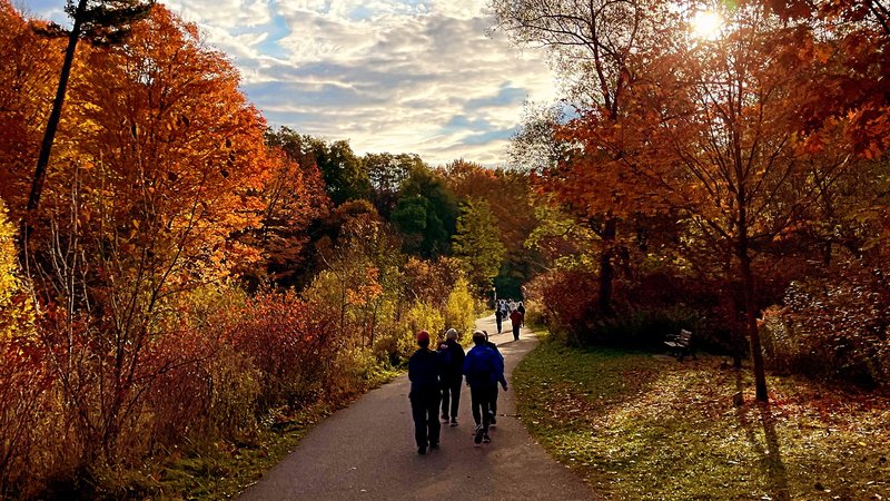 3 Day Falling Leaves, Rising Spirits Yoga and Wellness Retreat in Frontenac County, Ontario 