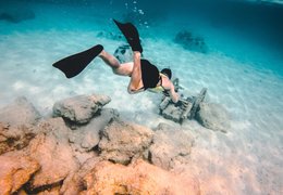 Diving Surf Camps