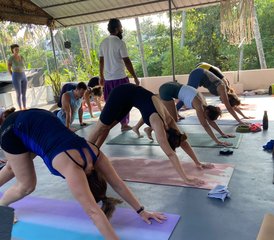 14-Daagse Surfkamp en Ayurveda Yoga Retreat in Kerala, India - Photo 5
