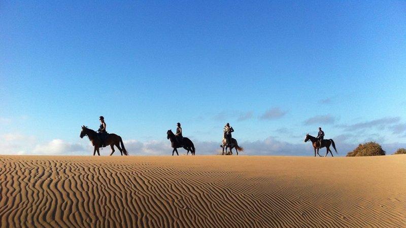 8 Day Beaches and Palm Groves of the Great Moroccan South Horse Riding Holiday