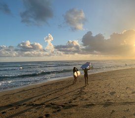 8 Day Surf and Yoga Holiday at a Beachfront Eco Hotel, Cabarete, Dominican Republic - Photo 3