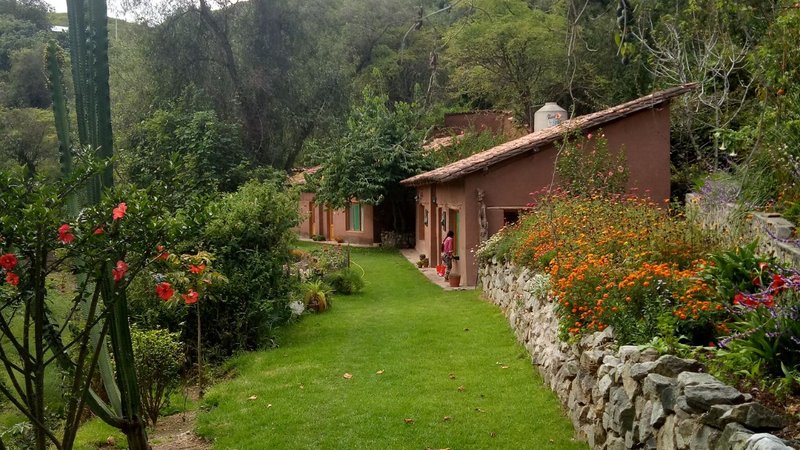 5 Day Relaxing Meditation and Yoga Holiday in Limatambo, Cusco