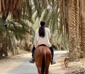 8 Tage Kairo und Siwa-Oase Reiturlaub mit Jeep-Safari in Ägypten - Photo 2