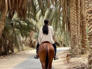8 Day Cairo and Siwa Oasis Horse Riding Holiday Tour in Egypt with Jeep Safari