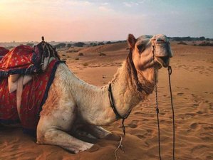 7 Day Breathwork Teacher Training Course with Camel Safari in Jaisalmer, Rajasthan