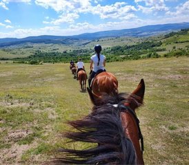 15 Tage Wildnis und Stille Reiturlaub in Rumänien - Photo 1
