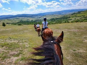 5 Day Wild and Silence Horse Riding Tour in Romania