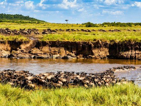 Mara River