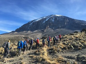 5 Day Marangu Route Private Hiking Safaris in Mount Kilimanjaro, Tanzania